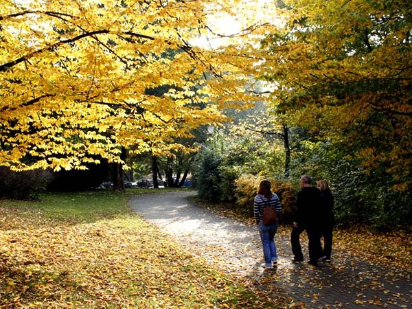 Ein Spaziergang im Herbst hilft gegen die Herbstmelancholie