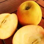 Gesund und lecker: Der Apfel