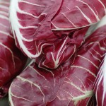Berühmt für seine Bitterstoffe: Radicchio Salat