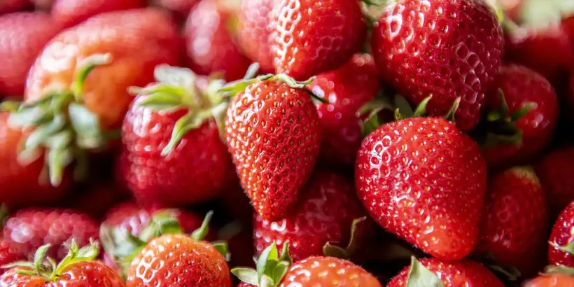 Lecker und unglaublich gesund: Erdbeeren